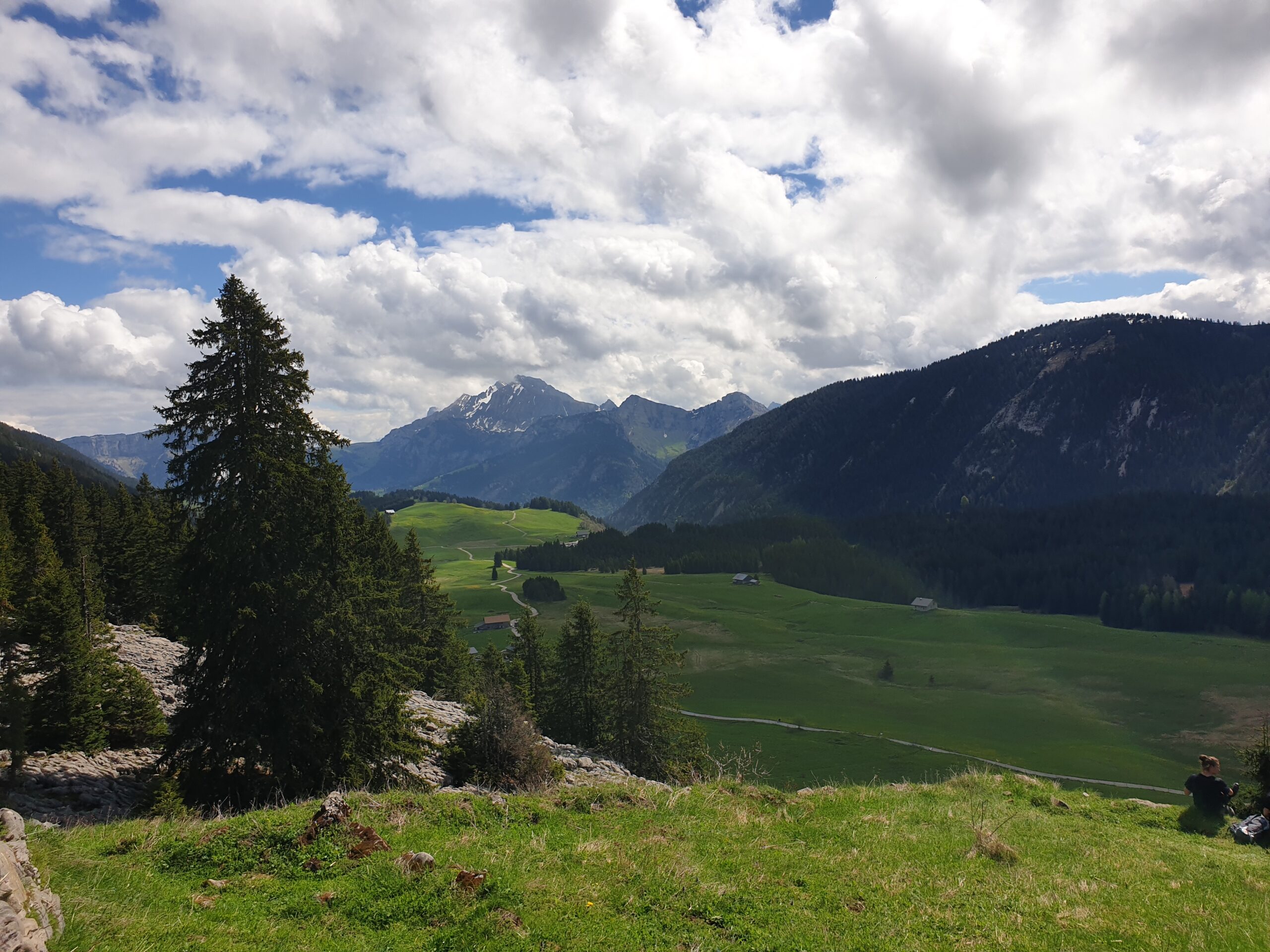 202505_Glières1