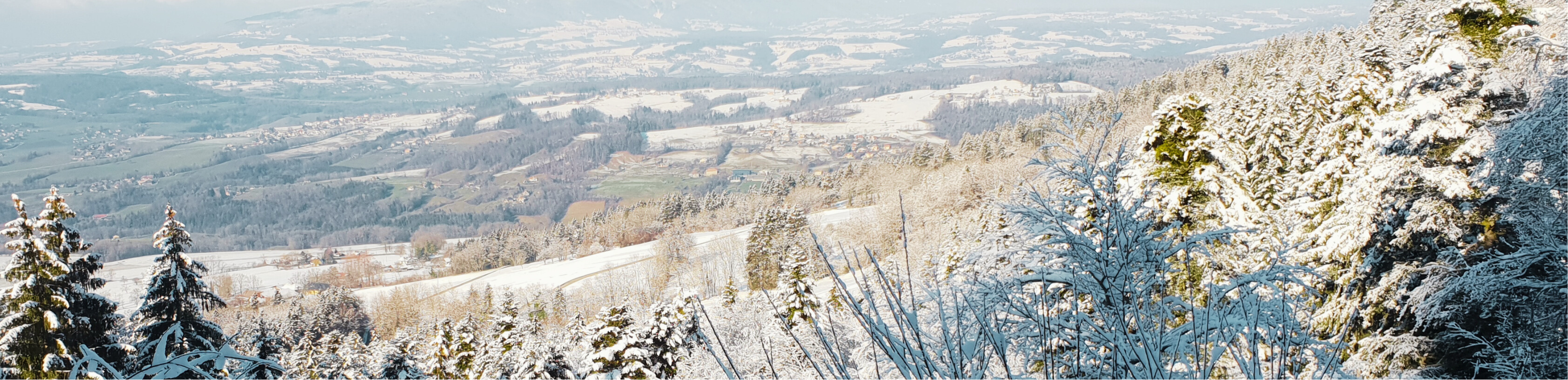 Photo Slider Setting 4