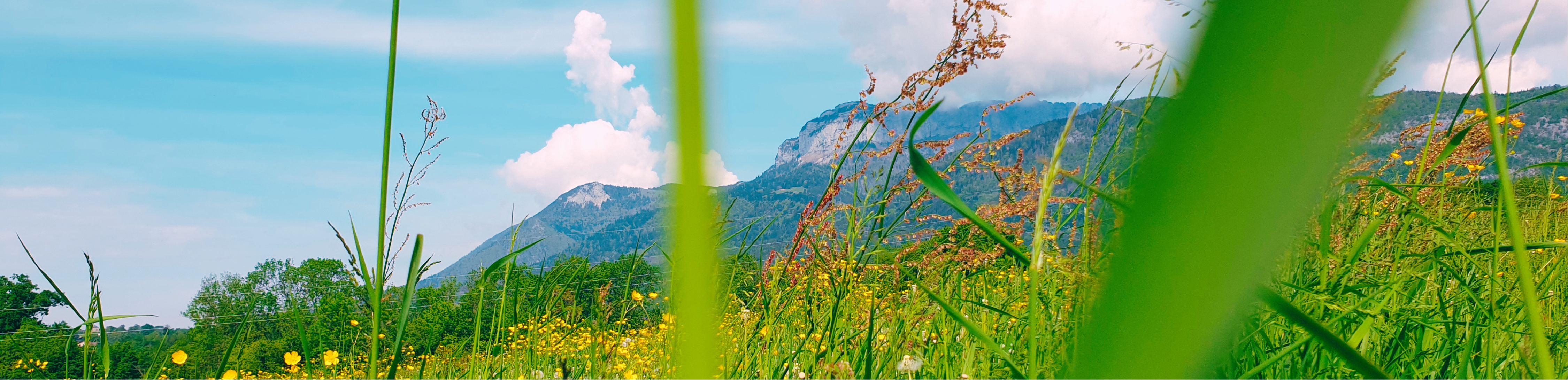 Photo Slider Setting 1 PRINTEMPS