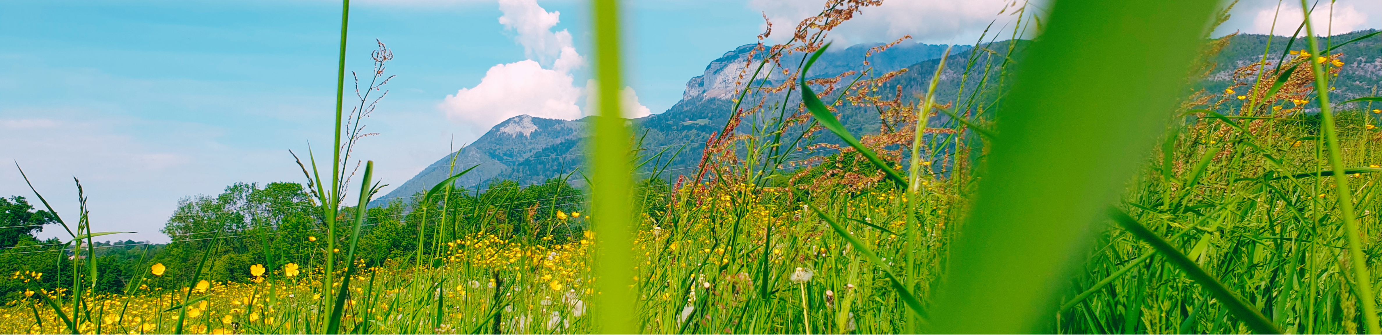 Photo Slider Setting 1 PRINTEMPS