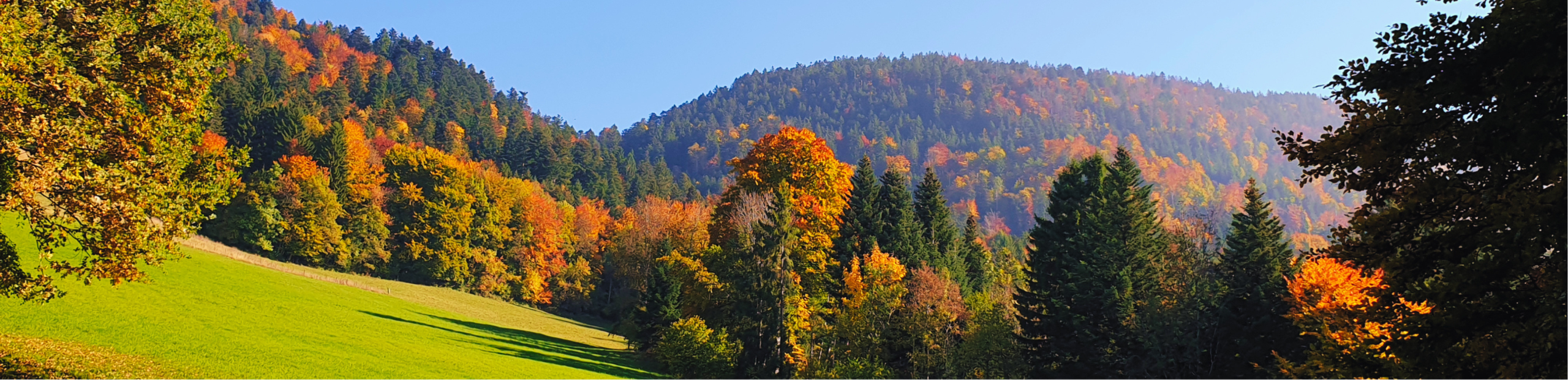 SLIDER SETTING AUTOMNE 2