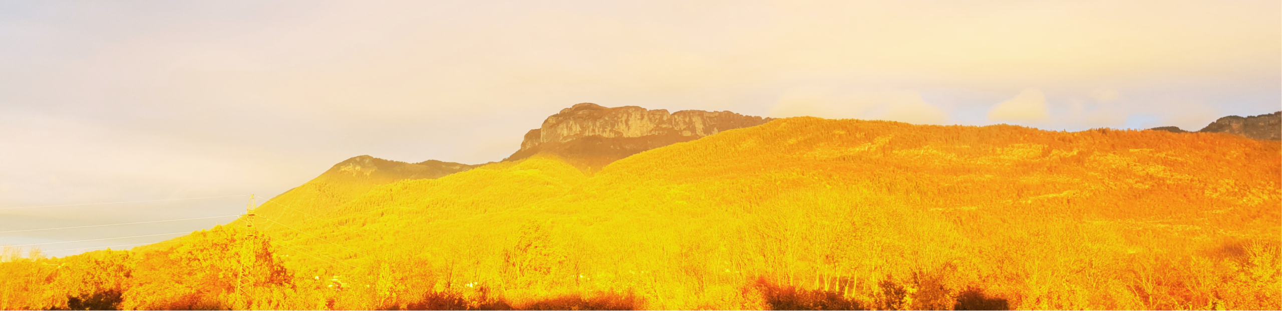 SLIDER SETTING AUTOMNE 5