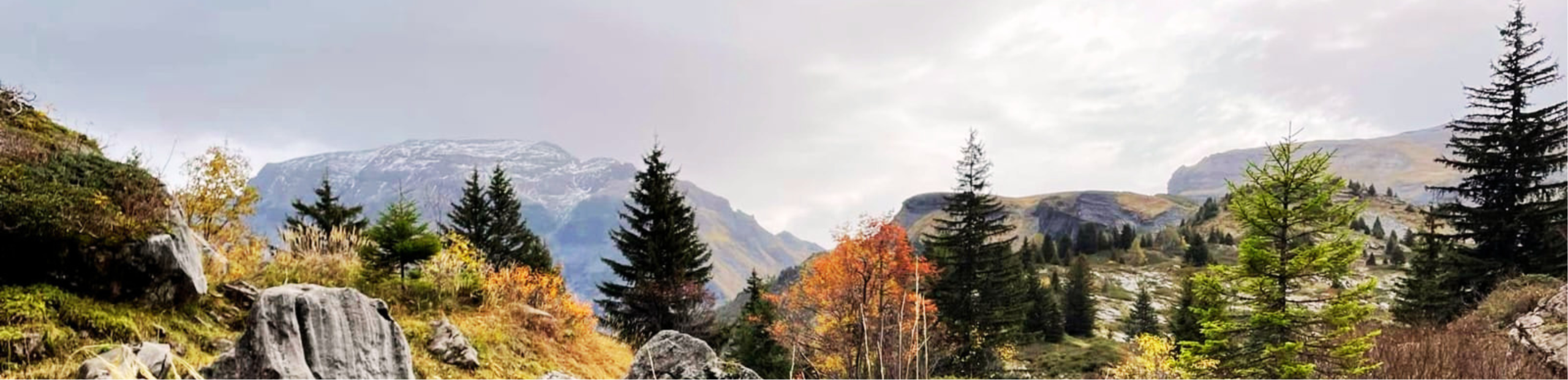 SLIDER SETTING AUTOMNE 3