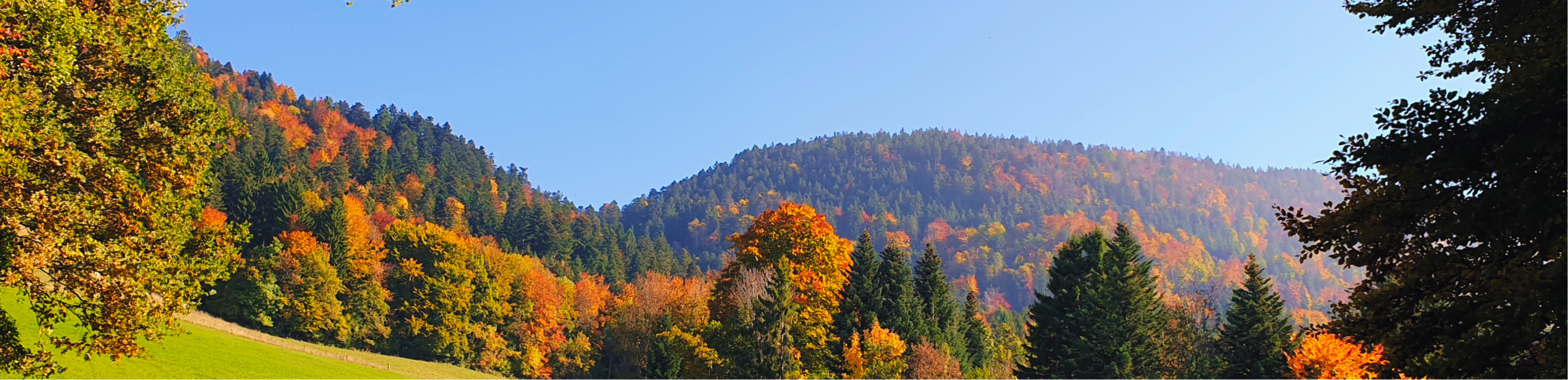 SLIDER SETTING AUTOMNE 2