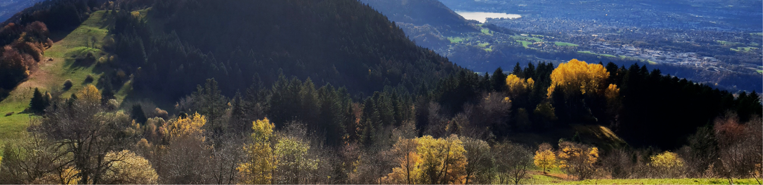SLIDER SETTING AUTOMNE 1